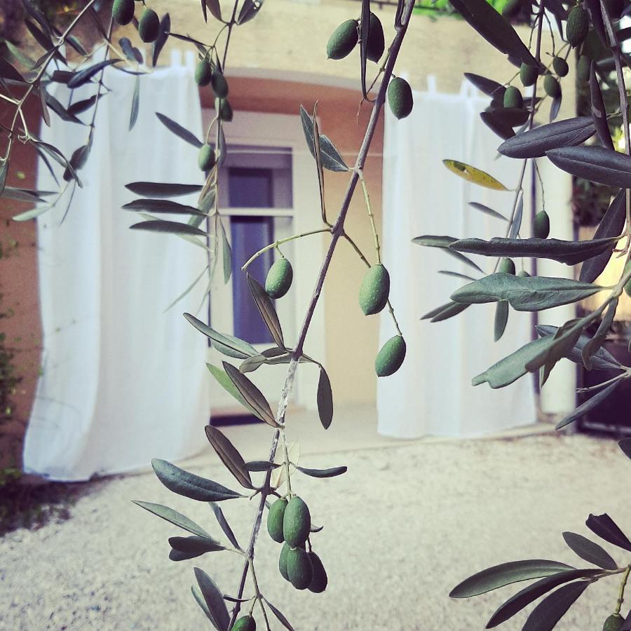 La Villa Jasmin Montauroux Esterno foto