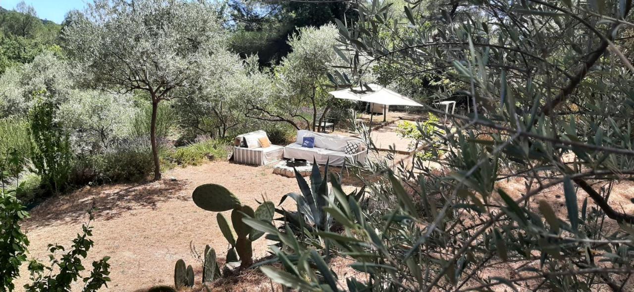 La Villa Jasmin Montauroux Esterno foto